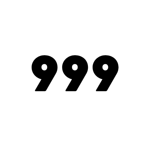 Under ₹999