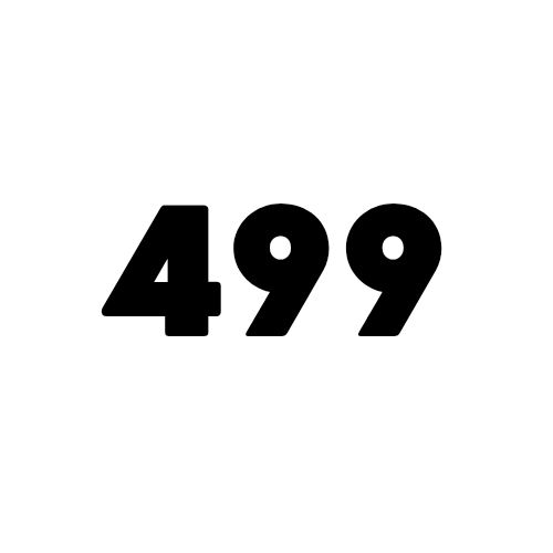 Under ₹499