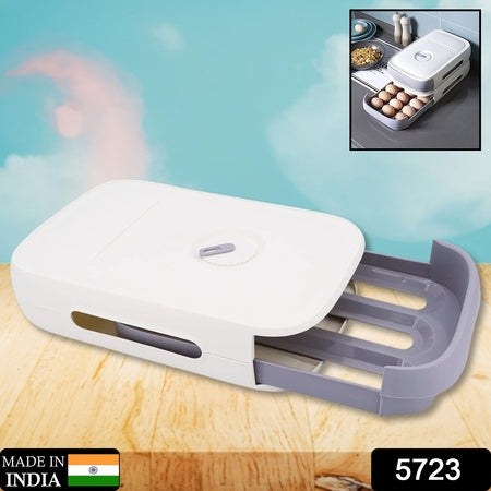 Plastic Egg Storage Box – Covered Fridge Drawer Organizer (1 Pc)