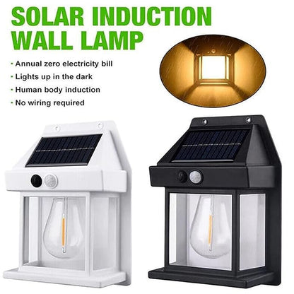Solar Wall Lights (1 Pc )