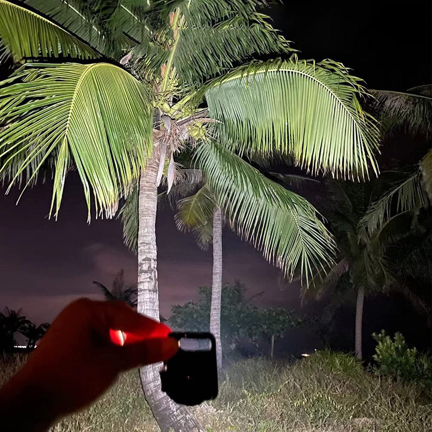 LED Keychain Flashlight – Battery Operated with Stand & Bottle Opener (1 Pc)